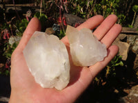 Natural Single Castle Quartz Crystals x 12 From Ivato, Madagascar