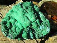 Natural Extra Large Botryoidal Malachite With Chrysocolla Specimen  x 1 From Kolwezi, Congo - Toprock Gemstones and Minerals 