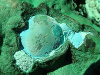 Natural Extra Large Botryoidal Malachite With Chrysocolla Specimen  x 1 From Kolwezi, Congo - Toprock Gemstones and Minerals 