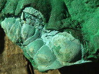 Natural Extra Large Botryoidal Malachite With Chrysocolla Specimen  x 1 From Kolwezi, Congo - Toprock Gemstones and Minerals 