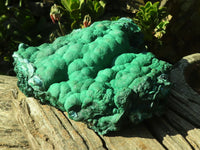 Natural Extra Large Botryoidal Malachite With Chrysocolla Specimen  x 1 From Kolwezi, Congo - Toprock Gemstones and Minerals 