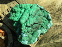 Natural Extra Large Botryoidal Malachite With Chrysocolla Specimen  x 1 From Kolwezi, Congo - Toprock Gemstones and Minerals 