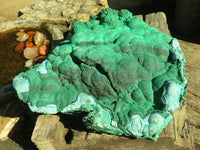 Natural Extra Large Botryoidal Malachite With Chrysocolla Specimen  x 1 From Kolwezi, Congo - Toprock Gemstones and Minerals 