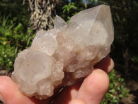 Natural White Phantom Smokey Quartz Clusters  x 6 From Luena, Congo - Toprock Gemstones and Minerals 