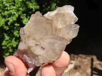 Natural White Phantom Smokey Quartz Clusters  x 6 From Luena, Congo - Toprock Gemstones and Minerals 