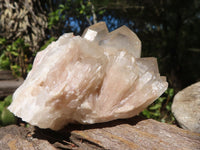 Natural White Phantom Smokey Quartz Clusters  x 6 From Luena, Congo - Toprock Gemstones and Minerals 