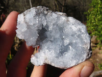 Natural Blue Celestite Crystal Specimens  x 6 From Sakoany, Madagascar