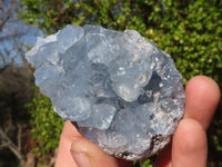 Natural Blue Celestite Crystal Specimens  x 6 From Sakoany, Madagascar