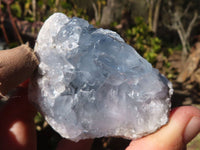 Natural Blue Celestite Crystal Specimens  x 6 From Sakoany, Madagascar