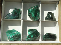 Polished Malachite Free Forms With Stunning Flower & Banding Patterns x 6 From Congo - TopRock