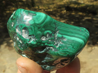 Polished Malachite Free Forms With Stunning Flower & Banding Patterns x 6 From Congo - TopRock