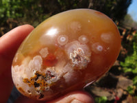 Polished  Ocean Flower Agate Palm Stones  x 12 From Madagascar