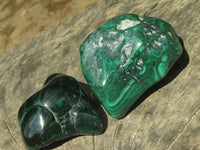 Polished Malachite Free Forms With Stunning Flower & Banding Patterns x 6 From Congo - TopRock