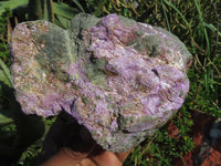 Natural Great Carving Material With Green Serpentine & Purple Stichtite x 2 From Barberton, South Africa - TopRock