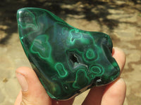 Polished Malachite Free Forms With Stunning Flower & Banding Patterns x 6 From Congo - TopRock