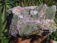 Natural Great Carving Material With Green Serpentine & Purple Stichtite x 2 From Barberton, South Africa - TopRock