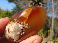 Polished  Ocean Flower Agate Palm Stones  x 12 From Madagascar