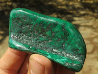 Polished Malachite Free Forms With Stunning Flower & Banding Patterns x 6 From Congo - TopRock