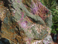 Natural Great Carving Material With Green Serpentine & Purple Stichtite x 2 From Barberton, South Africa - TopRock