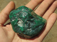 Polished Malachite Free Forms With Stunning Flower & Banding Patterns x 6 From Congo - TopRock