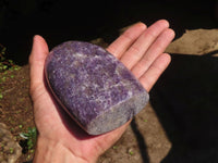 Polished Purple Lepidolite Standing Free Forms  x 2 From Madagascar - Toprock Gemstones and Minerals 