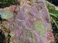 Natural Great Carving Material With Green Serpentine & Purple Stichtite x 2 From Barberton, South Africa - TopRock