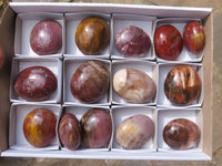 Polished Petrified Red Podocarpus Wood Palm Stones  x 14 From Madagascar - TopRock