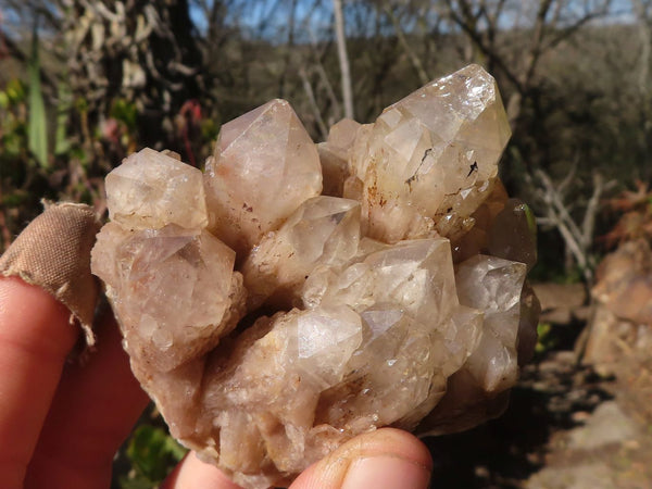 Natural Cascading Smokey Phantom Quartz Clusters x 7 From Luena, Congo