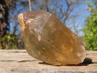 Natural Cascading Smokey Phantom Quartz Clusters x 7 From Luena, Congo