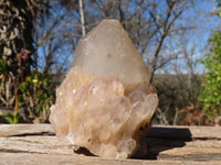 Natural Cascading Smokey Phantom Quartz Clusters x 7 From Luena, Congo