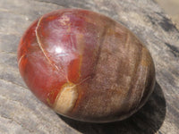 Polished Petrified Red Podocarpus Wood Palm Stones  x 14 From Madagascar - TopRock