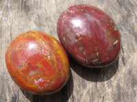 Polished Petrified Red Podocarpus Wood Palm Stones  x 14 From Madagascar - TopRock