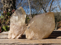 Natural Cascading Smokey Phantom Quartz Clusters x 7 From Luena, Congo