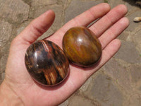 Polished Petrified Red Podocarpus Wood Palm Stones  x 14 From Madagascar - TopRock