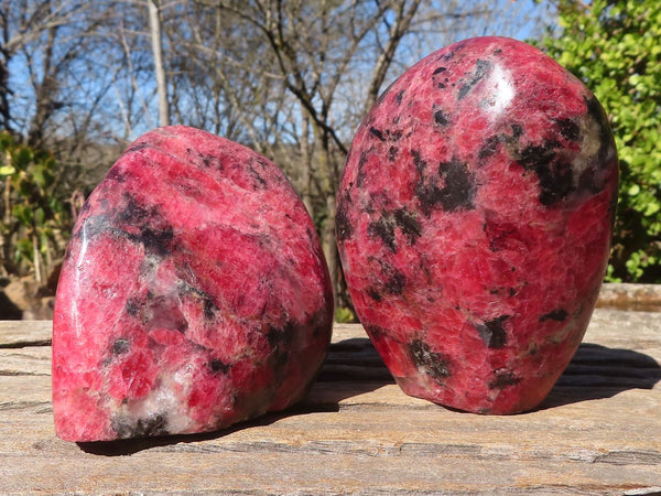 Polished Red Rhodonite Standing Free Forms x 2 From Zimbabwe