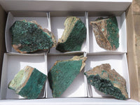 Natural Crystalline Micro Botryoidal Malachite Specimens  x 6 From Tenke Fungurume, Congo - TopRock