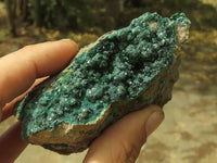 Natural Crystalline Micro Botryoidal Malachite Specimens  x 6 From Tenke Fungurume, Congo - TopRock