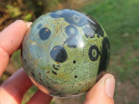 Polished Stromatolite / Kambaba Jasper Spheres x 3 From Madagascar - TopRock