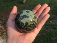 Polished Stromatolite / Kambaba Jasper Spheres x 3 From Madagascar - TopRock