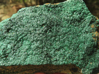 Natural Crystalline Micro Botryoidal Malachite Specimens  x 6 From Tenke Fungurume, Congo - TopRock