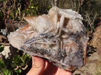 Natural Rare Bladed Barite Specimen x 1 From Congo