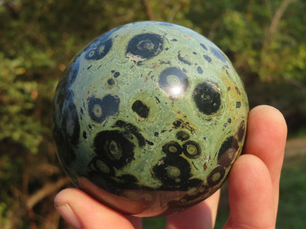 Polished Stromatolite / Kambaba Jasper Spheres x 3 From Madagascar - TopRock