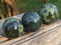 Polished Stromatolite / Kambaba Jasper Spheres x 3 From Madagascar - TopRock