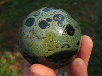 Polished Stromatolite / Kambaba Jasper Spheres x 3 From Madagascar - TopRock