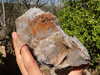 Natural Rare Bladed Barite Specimen x 1 From Congo