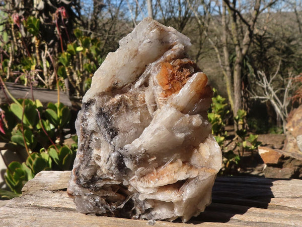 Natural Rare Bladed Barite Specimen x 1 From Congo