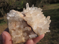 Natural Quartz Clusters With Long Crystals  x 12 From Madagascar - TopRock