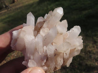 Natural Quartz Clusters With Long Crystals  x 12 From Madagascar - TopRock