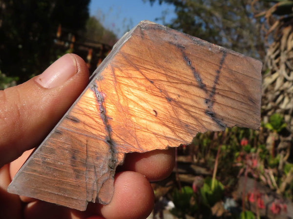 Polished  One Side Polished Purple Labradorite Slabs  x 12 From Tulear, Madagascar