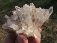 Natural Quartz Clusters With Long Crystals  x 12 From Madagascar - TopRock